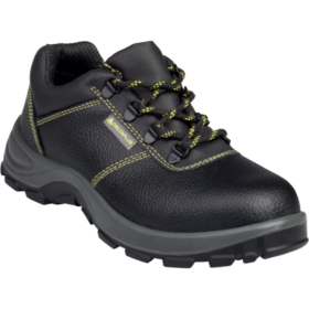 GOULT II S1P SRC